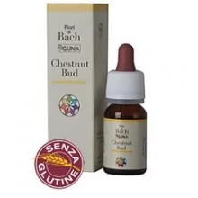CHESTNUT BUD GOCCE 10 ML