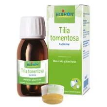 TILIA TOMENTOSA MACERATO...