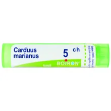CARDUUS MARIANUS 5 CH...