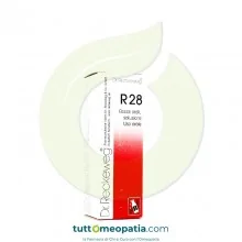 RECKEWEG R28 GOCCE 22 ML