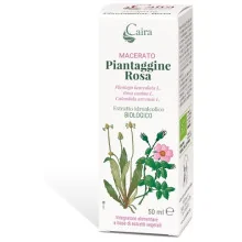 CAIRA PIANTAGGINE ROSA...