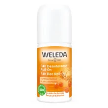 24H DEO ROLL-ON OLIVELLO...