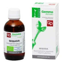 SEQUOIA MACERATO GLICERICO...
