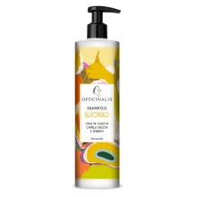 SHAMPOO ELICRISO...