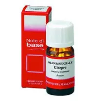GINEPRO OLIO ESSENZIALE 10 ML