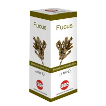 FUCUS SOLUZIONE...