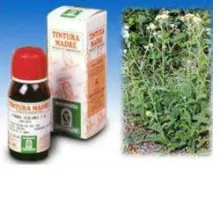 ACHILLEA 51 TINTURA MADRE...