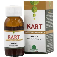 KART PERILLA SOLUZIONE...