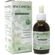 SPACCAPIETRA BENOIT...