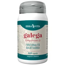 GALEGA 60 CAPSULE