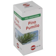 PINO PUMILIO OLIO...
