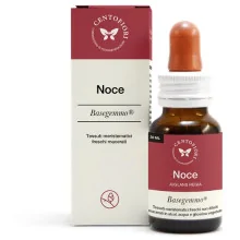 NOCE BASEGEMMO 30 ML