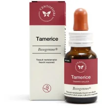 TAMERICE BASEGEMMO 30 ML