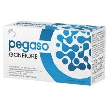 PEGASO GONFIORE 10...