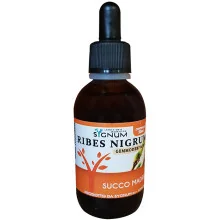 RIBES NIGRUM SUCCO MADRE 50 ML