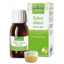 RUBUS IDAEUS GIOVANI GETTI...