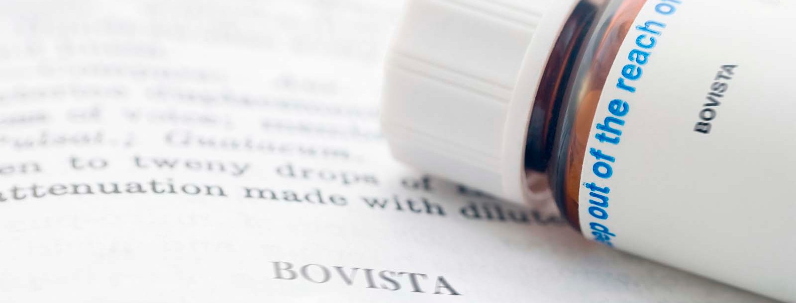 BOVISTA