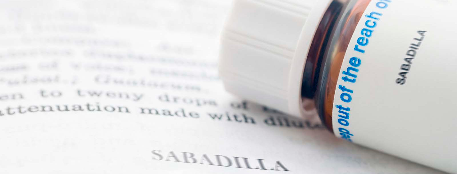 Sabadilla