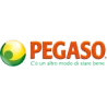 Pegaso